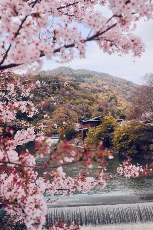 Anywhere in Japan - wedding destination in Japan