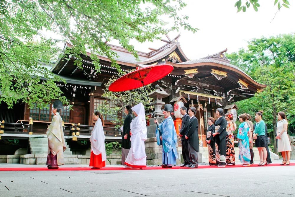 Bride in shiromuku and groom in montsuki-hakama in a Shinto wedding procession under a red parasol at a Japanese shrine